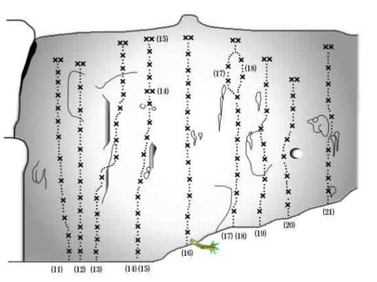 ニューエリア・ルート図B